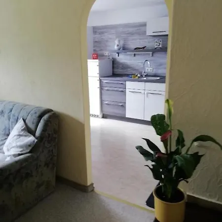 Kleines Haus Mit Geschichte Apartament